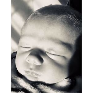 Meet your Posher, Destiny